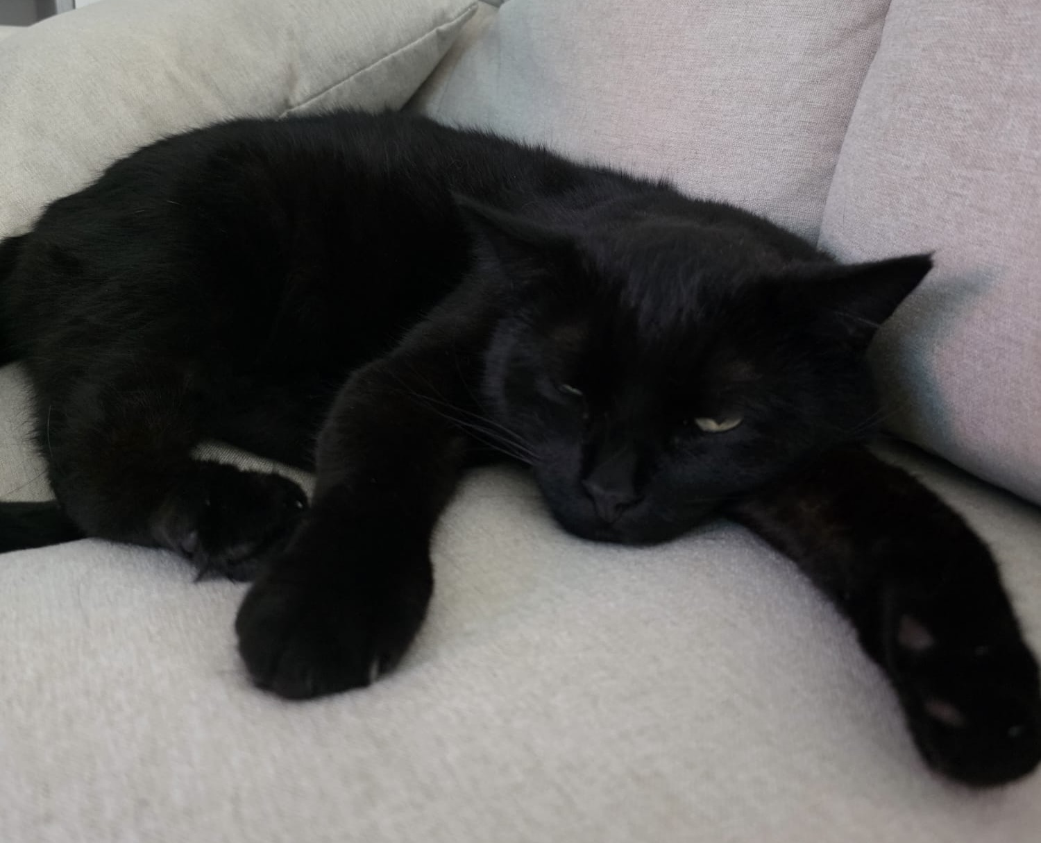 Balu